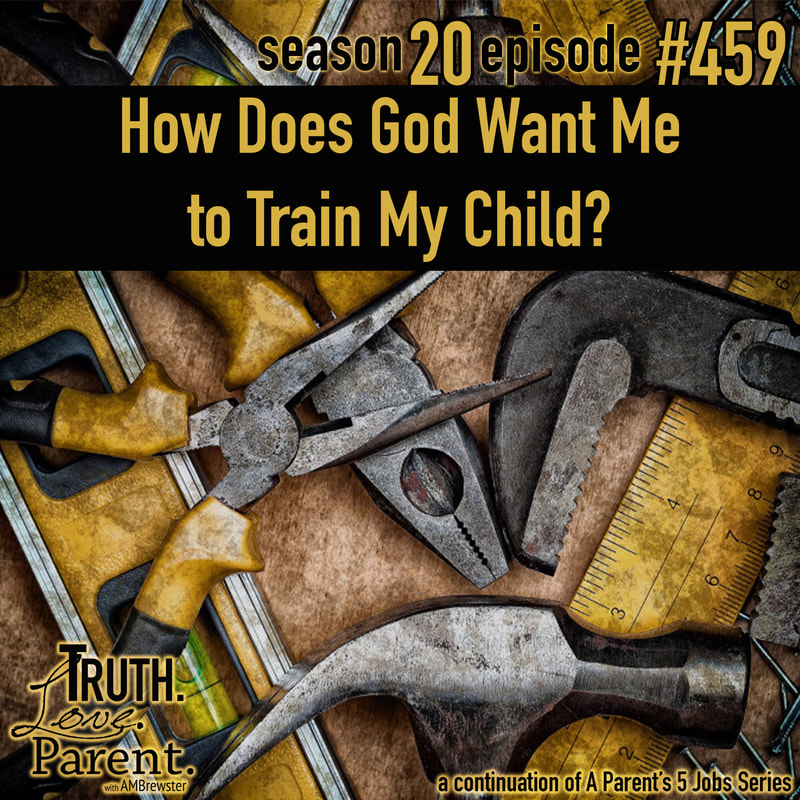 TLP 459: How Does God Want Me to Train My Child?