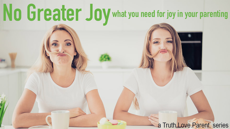 No Greater Joy what you need for joy in your parenting 