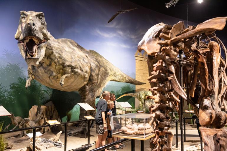 Creation Museum Dinosaur