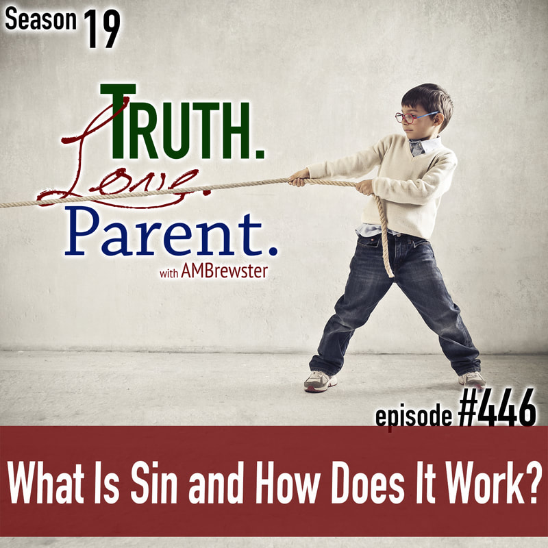 TLP 446: What Is Sin and How Does It Work?