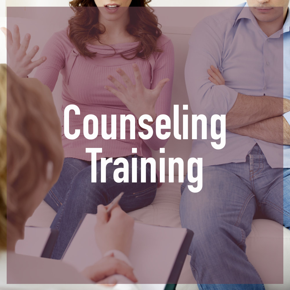 Biblical Counselor Counseling Training ar-risk families trouble teens difficult children parenting