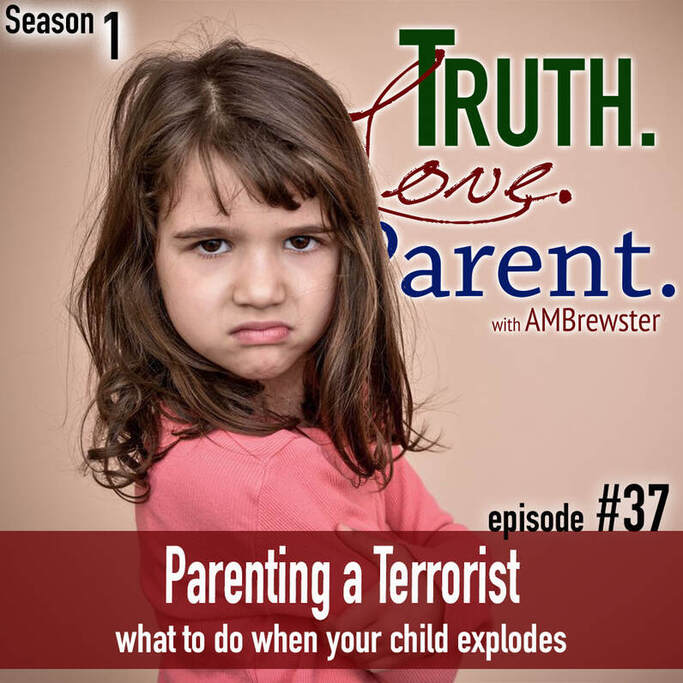 TLP 37: Parenting a Terrorist | what to do when your child explodes