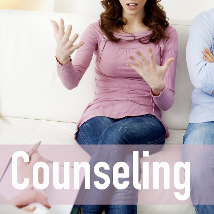 Biblical Counseling Counselor Family